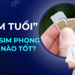 2025 – “Năm Tuổi” Tỵ  nên chọn sim phong thủy nào tốt?